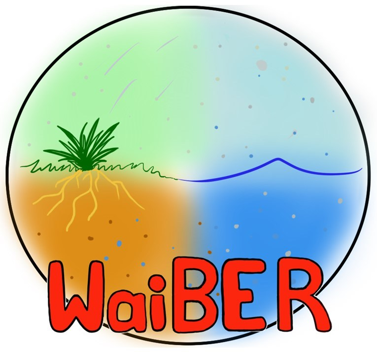 waiber logo v2